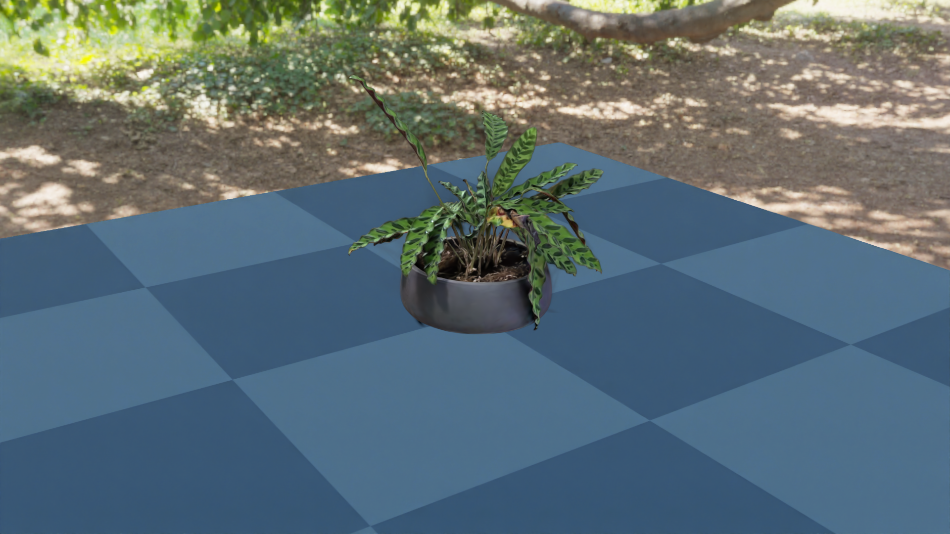 Rendered output of
